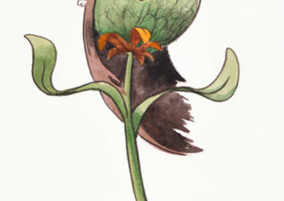 Plante – 04